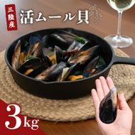 国産 活ムール貝 3kg 冷蔵 ムール貝 ムラサキ貝 しゅうり貝 殻付き 新鮮 産地直送 旬 お取り寄せ グルメ 三陸 岩手県 大船渡市 [koku016]