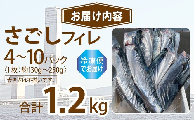 099H3890-2 さごしフィレ 合計1.2kg以上 【小分け 切り身 海産 魚 お弁当 焼き魚 冷凍 惣菜 焼くだけ 訳あり サイズ不揃い】