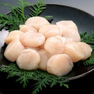 23-78 北海道オホーツク海産ほたて玉冷1kg