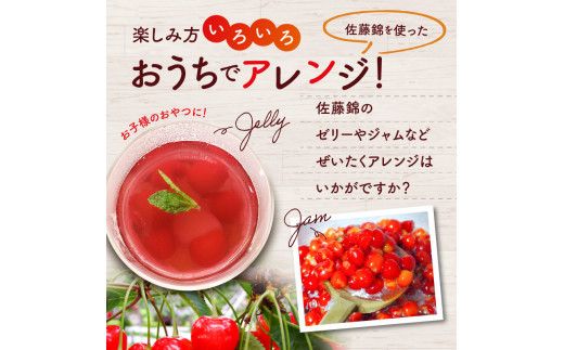 【先行受付：2026年7月初旬以降発送分】さくらんぼ（佐藤錦） 1kg 北海道 余市 余市町農業協同組合 フルーツ デザート 果物 季節限定 グルメ とれたて 甘み 鮮やかな紅色 冷蔵 お取り寄せ_Y010-0656