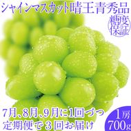2026年先行予約【3回定期便】シャインマスカット晴王1房 約700g 7月8月9月に出荷 人気 岡山県産 種無し 皮ごと食べる みずみずしい フレッシュ 晴れの国 おかやま 果物大国 ハレノフルーツ