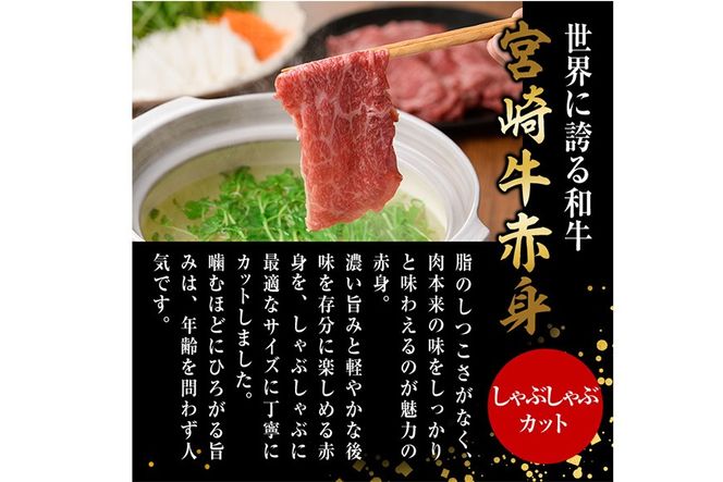 宮崎牛 赤身カット しゃぶしゃぶ (計500g・250g×2) しゃぶしゃぶ お肉 牛肉 黒毛和牛 宮崎牛 ブランド和牛 冷凍 国産 モモ ウデ 宮崎県産【YM-22】【YAMATO株式会社】