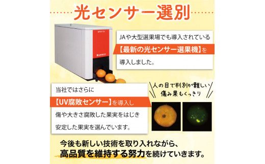 ＼光センサー選別／ちっちゃな有田みかんこつぶみかん約5kg （3S～2Sサイズ混合）有機質肥料100% ※2026年11月～2027年1月に順次発送予定（お届け日指定不可） 先行予約 みかん 温州みかん ミカン 小粒【nuk145C】