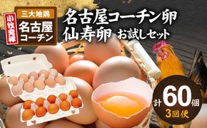 【3回便】名古屋コーチン卵・仙寿卵お試しセット（各10個入り）×3回（計各30個） [006K02-T]