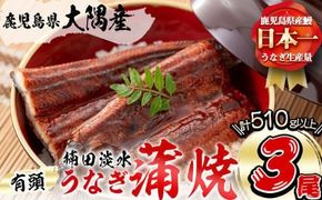 楠田の極うなぎ 蒲焼き170g以上×3尾(510g以上)【志布志】 b2-010