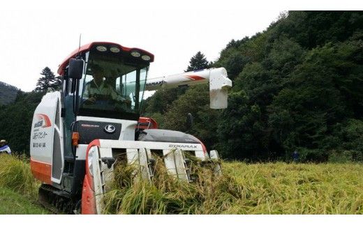 【定期便】兵庫県播磨産「山陽ほまれ　コシヒカリ」または「山陽ほまれ　ヒノヒカリ」10kg 「6回お届け（偶数月発送）」