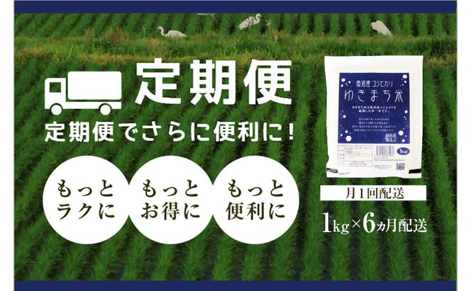 令和8年産米 先行予約 新米 極上魚沼産コシヒカリ 令和8年産米 1kg【定期便／6ヶ月】無洗米ゆきまち米＜先行受付10月下旬～順次発送＞