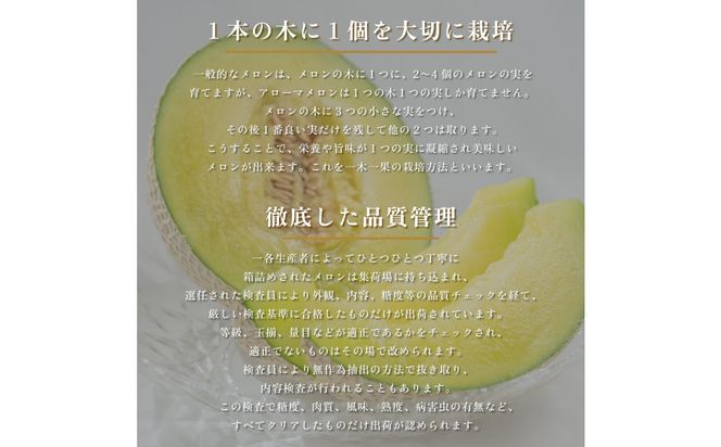 『組合直送』アローマメロン1.3kg 1玉 222232_DF001