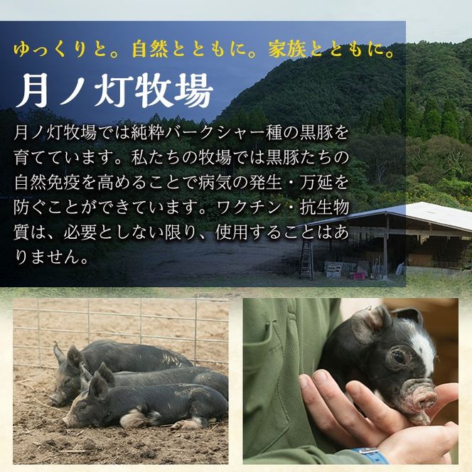 a1111 ＜保存料・発色剤・結着材・合成着色料 無添加＞月ノ灯牧場直送！鹿児島県産黒豚ソーセージ3種盛り合わせ計12本(ソーセージ4本・ハーブソーセージ4本・チョリソー4本)【pig village company】 姶良市 国産 豚肉 黒豚 ソーセージ セット 鹿児島
