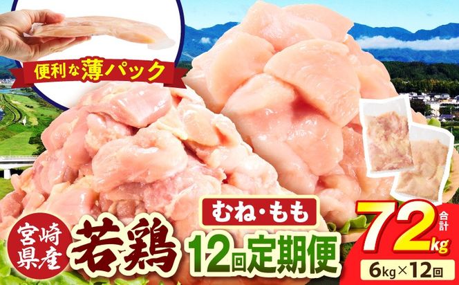 宮崎県産 若鶏切身 むね肉&もも肉 6kg（各300g×10袋）【12か月定期便】_b0805_it_x2