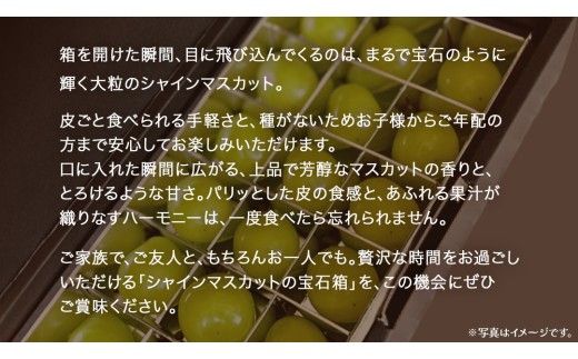 《 選べる 内容量 》【 お歳暮 熨斗付き 】 シャインマスカット の宝石箱 18粒 / 36粒 (茨城県共通返礼品：大子町) ぶどう 葡萄 フルーツ 果物 贈答用 ギフト 贈り物