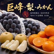 【8・9・12月 全3回】紀州産 巨峰とフルーツ定期便A（巨峰・梨・みかん） 【魚鶴商店】AN039