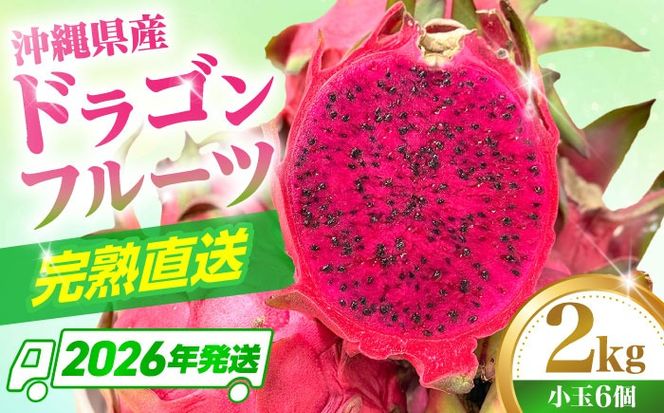 【2026年発送】 【小玉】 完熟ドラゴンフルーツ 2kg (6玉) 果物 フルーツ スーパーフード 産地直送 沖縄市 / タカエスフルーツ＆ベジタブル[BCBH006]