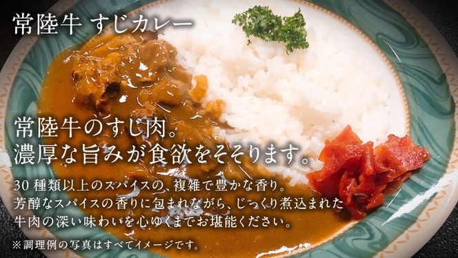 やわらか 常陸牛 すじ煮込み と すじカレー セット 各2パック 【茨城県共通返礼品】　カレー 牛すじ 煮込み お肉 牛肉 簡単 冷凍 レトルト