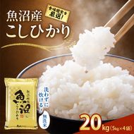 【令和8年産 先行予約】《無洗米》食味鑑定士厳選！魚沼産こしひかり 20kg（5kg×4） 白米 安心 安全 こだわり 米 コシヒカリ 新潟県 十日町市