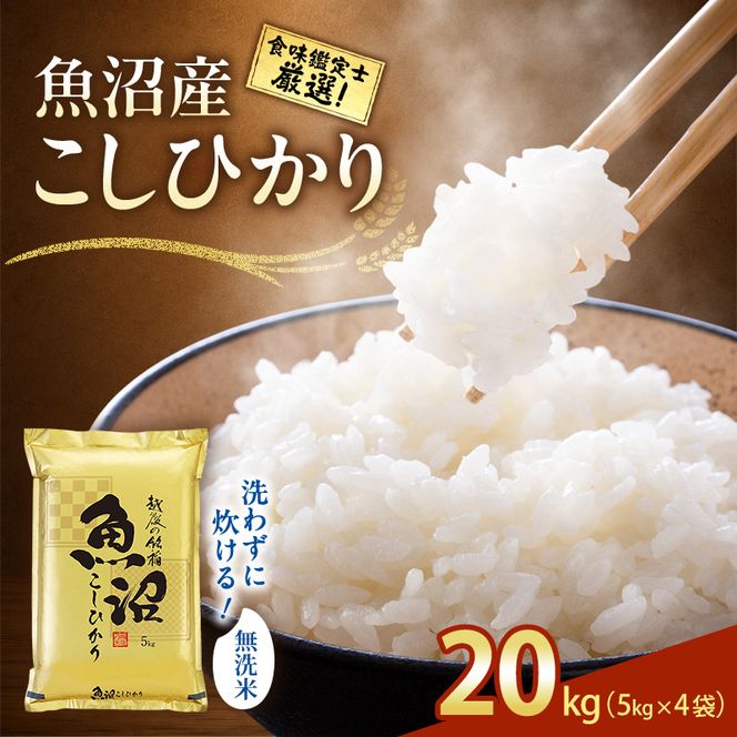 【令和8年産 先行予約】《無洗米》食味鑑定士厳選！魚沼産こしひかり 20kg（5kg×4） 白米 安心 安全 こだわり 米 コシヒカリ 新潟県 十日町市