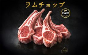 カネカン竹内 訳ありラムチョップ 選べる味付け 下味付き / たれ味 選べる内容量 約500g / 約700 / 約1kg / 約1.5kg