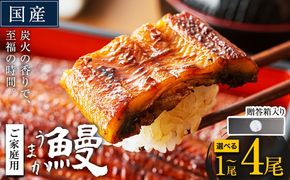 うなぎ ご家庭用 国産 ランキング 獲得 鰻 真空パック おすすめ うなぎの蒲焼 【贈答箱入り】《発送時期が選べる》 有頭 ふるさとのうぜい 鶏炭火焼 1尾 2尾 3尾 4尾 訳あり 定期便 簡易包装 不揃い 規格外 ウナギ unagi 蒲焼 秋 冬 旬 配送時期 冷凍---mifune_lcl_1137_1p---
