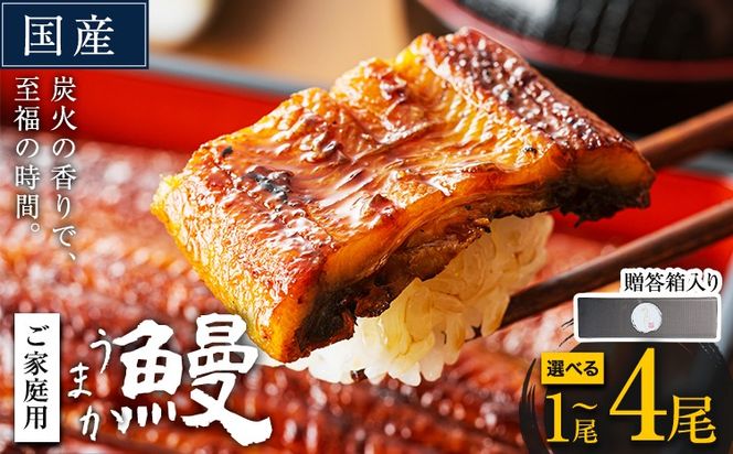 うなぎ ご家庭用 国産 ランキング 獲得 鰻 真空パック おすすめ うなぎの蒲焼 【贈答箱入り】《発送時期が選べる》 有頭 ふるさとのうぜい 鶏炭火焼 1尾 2尾 3尾 4尾 訳あり 定期便 簡易包装 不揃い 規格外 ウナギ unagi 蒲焼 秋 冬 旬 配送時期 冷凍---mifune_lcl_1137_1p---