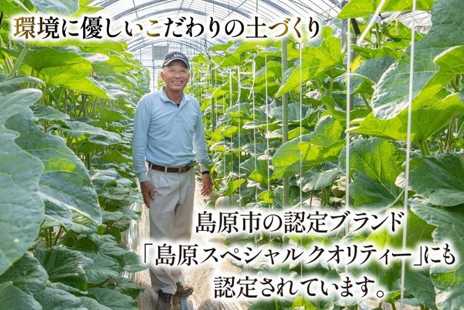【期間限定発送】AB053 その道一筋の生産者がじっくり丁寧に育てた　マスクメロン 特選大玉桐箱