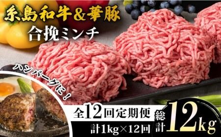 yszyS12ցza  ҃~` 500g×2p×12 v12kg ~[gfH[ [ACA259]  a  Y `Jc RbP  Ⴊ Ђ ғ