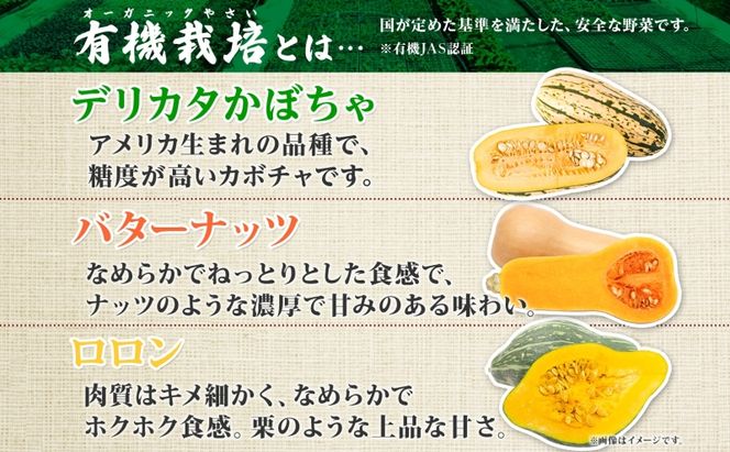 【2026年発送】北海道 オーガニック ３種 の かぼちゃBOX 計約4kg カボチャ デリカタ ミニバターナッツ ロロン 南瓜 有機野菜 野菜 有機栽培 JAS 産直 産地直送 国産 ニセコグリーンファーム