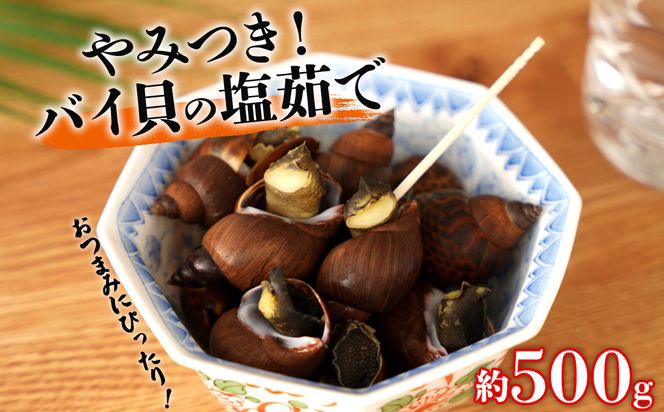 y蒬z݂@oCL̉䥂Ł@500g 464686_AH16
