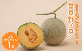 【2026年夏発送】北海道 富良野 メロン 3Lサイズ 約2kg×1玉 フルーツ 果物