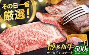 【溢れる肉汁と濃厚な旨味】博多和牛 サーロイン ステーキ セット 500g(250g×2枚)《築上町》【株式会社MEAT PLUS】 [ABBP013]