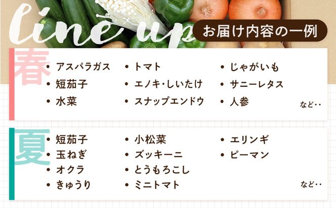 【毎月コース】野菜 キノコ 果物 11品目 詰め合わせ 10回 定期便  / 南島原市 / 吉岡青果[SCZ036]