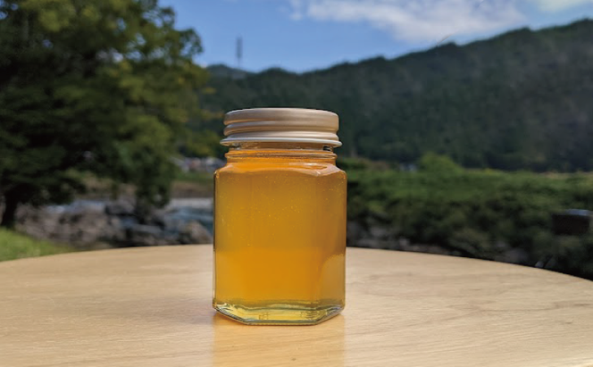 90g 天然蜂蜜 国産蜂蜜 非加熱 生はちみつ 岐阜県 美濃市産 (配送エリア限定) D1  深田養蜂のハチミツ