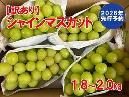 【2026年発送分 先行予約】【訳あり】シャインマスカット  1.8kg～2kg (3～6房) 【8月下旬以降発送予定】 訳アリ 訳あり品 シャイン マスカット ぶどう ブドウ 葡萄 徳用 家庭用 ご家庭用 旬 新鮮 約2kg 約1.8kg 約1.9kg くだもの 果物 フルーツ 山梨 やまなし 富士川町