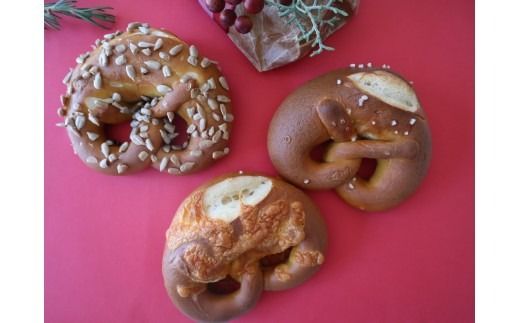 バックハウスブラウ（Backhausblau)おすすめパンセット12種類 | パン ぱん ドイツパン パンセット ベーカリーセット 詰め合わせ 食べ比べ 朝食 冷凍 冷凍パン 送料無料 岐阜県 瑞穂市 ※離島への配送不可