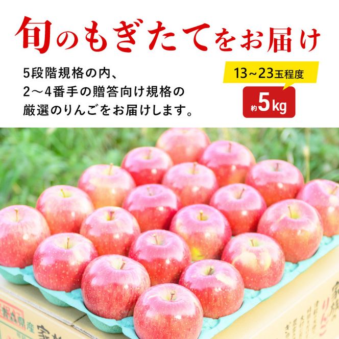 りんご【11月発送】蜜入り 糖度13度以上 おもてなし品  葉とらず サンふじ 約5kg【青森りんご 果物 フルーツ 産地直送 糖度測定 褐変 チェック 贈り物 年末 挨拶 お土産】