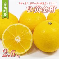 訳あり 黄金柑 2.5kg サイズミックス 6000円 みかん わけあり おうごんかん ゴールデンオレンジ 高級 希少 人気 ブランド 柑橘 果物 フルーツ 数量限定 期間限定 産地直送 国産 農家直送 特産品 お取り寄せ ギフト プレゼント mikan 蜜柑 ミカン 甘い 糖度 おいしい 果汁 さわやか 果樹園みどり 愛南町 愛媛県