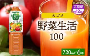 ns038-065　【定期便】12ヵ月連続野菜生活100 オリジナル 720mlPET