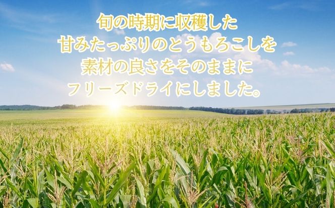 とうもろこしの“まんま”　FB049