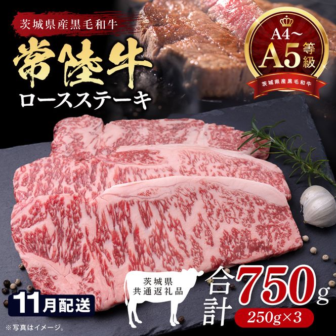 【2026年11月発送予定】最高級A4.A5ランク 常陸牛ロースステーキ750ｇ（250g×3）【人気肉 お肉 牛肉 和牛 黒毛和牛 国産黒毛和牛 ロース肉 ステーキ 国産牛 焼肉 焼き肉 バーベキュー BBQ A5 ブランド牛】(CR102-11)