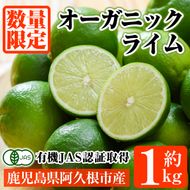 数量限定！有機JAS オーガニックライム(約1kg) 国産 果実 果物 フルーツ 柑橘 デザート 期間限定 有機栽培 健康志向 【中村農場】akn084-12