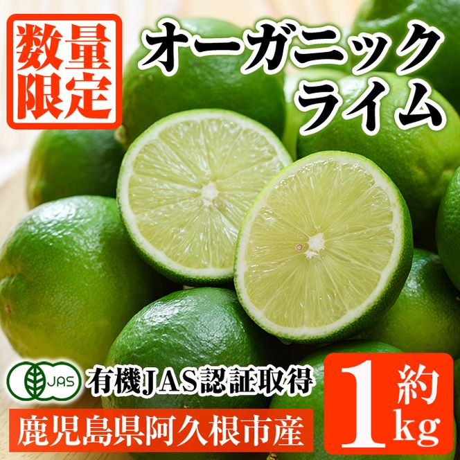 数量限定！有機JAS オーガニックライム(約1kg) 国産 果実 果物 フルーツ 柑橘 デザート 期間限定 有機栽培 健康志向 【中村農場】akn084-12