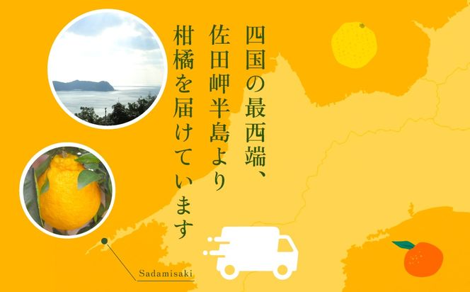 【先行予約】不知火（生果5kg）※離島への配送不可（2026年2月上旬より順次発送予定） IKTBD011