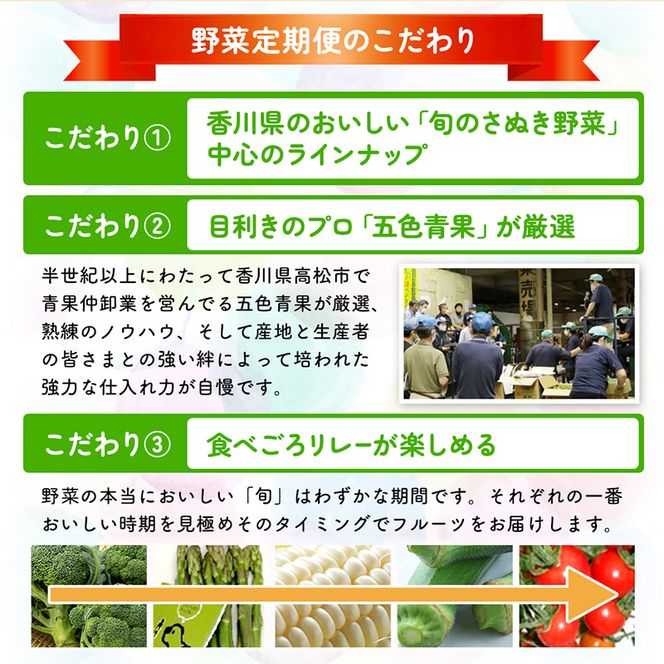 旬のさぬきの野菜定期便（6回）　野菜 定期便 旬 新鮮 食べごろ 季節 ブロッコリー アスパラ ホワイトコーン オクラ ミニトマト 香川県 東かがわ市