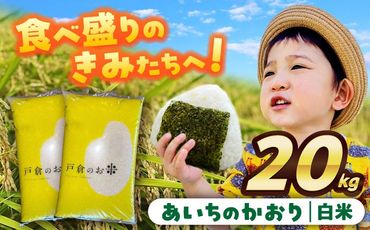 ＼選べる配送月／ あいちのかおり　白米　20kg　お米　ご飯　愛西市／株式会社戸倉トラクター[AECS003]