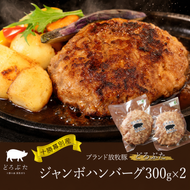 十勝幕別産ブランド放牧豚［どろぶた］ジャンボハンバーグ300g×2　北海道 エルパソ 放牧豚