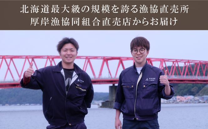 定期便 3ヶ月 北海道 厚岸産 牡蠣 Lサイズ 20個 (各回20個×3ヶ月分,合計60個) 殻付き 生食 カキナイフ付き かき カキ 生牡蠣 魚介類 貝 マルえもん