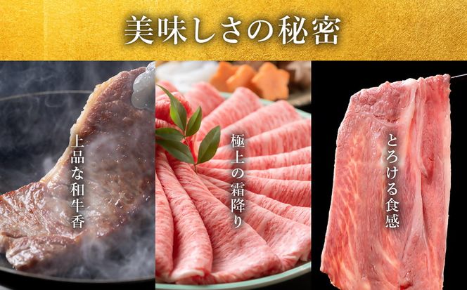 極上松阪牛ヒレ（100g×1枚）シャトーブリアン（150g×1枚） 12か月定期便【002449】