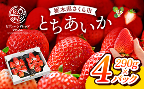 〈数量限定〉【先行予約】さくら市産イチゴ（とちあいか）290g×4パック｜いちご イチゴ 苺 先行予約 栃木県 果物 くだもの フルーツ とちあいか 新鮮 贈答 ギフト ※2025年12月下旬～2026年3月下旬頃に順次発送予定
