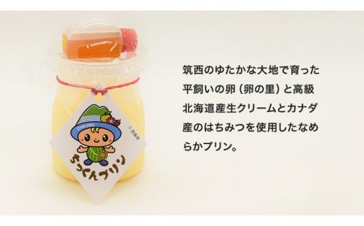 ＜ ギフト ＞ ちっくん プリン 12個 セット [BW023ci]