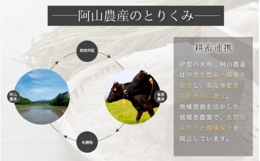 令和8年産 特別栽培米 伊賀米コシヒカリ 鞆田のつづみ 白米 10kg【nsan0002A】