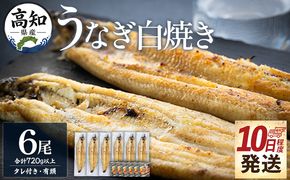 うなぎ 白焼き【10日程度で発送】高知県産鰻の白焼き120～130ｇ 6尾 蒲焼きのタレ6袋 エコ包装 yw-0129